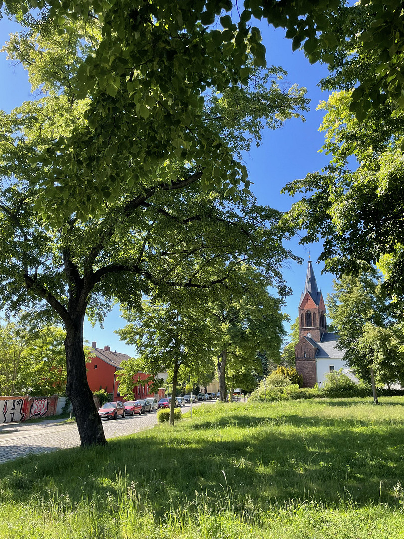 Villa in Berlin Kaulsdorf, energetisch saniert auf Park ähnlich gestaltetes großes Grundstück – Mädewalder Weg, 12621 Berlin(Kaulsdorf) – Vorschaubild 16