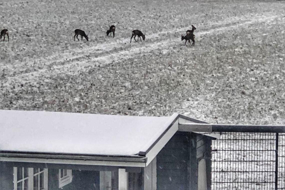 Doppelhaushälfte im Versatz Walmdachhaus mit Weitblick – Rellingen – Vorschaubild 29