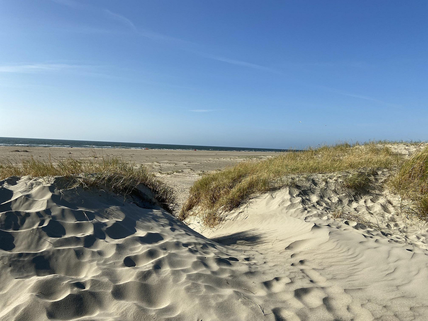 Exklusiv wohnen - ideales Feriendomizil vor Sylt und Dänemark! – Humptrup – Vorschaubild 46