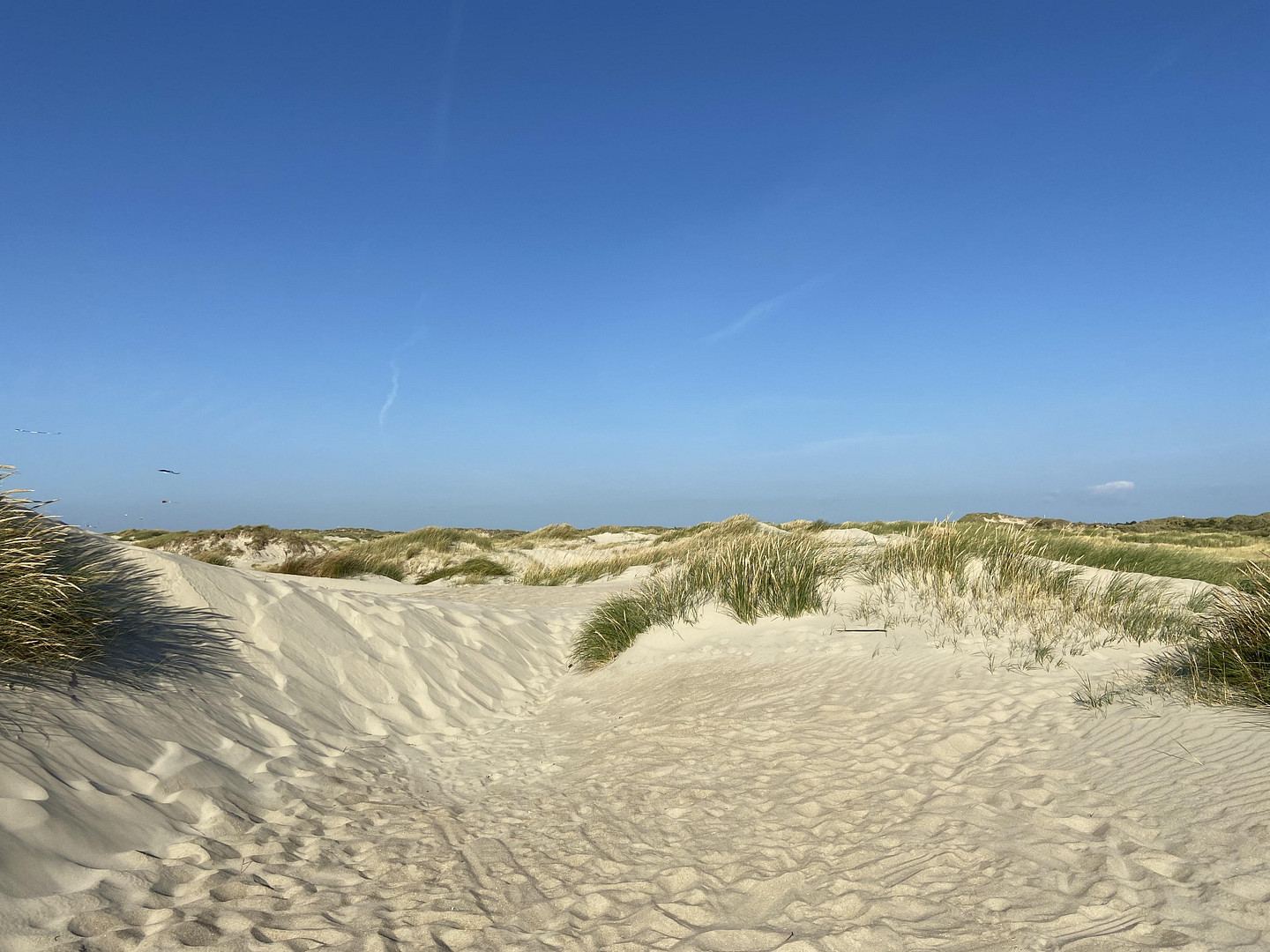 Exklusiv wohnen - ideales Feriendomizil vor Sylt und Dänemark! – Humptrup – Vorschaubild 45