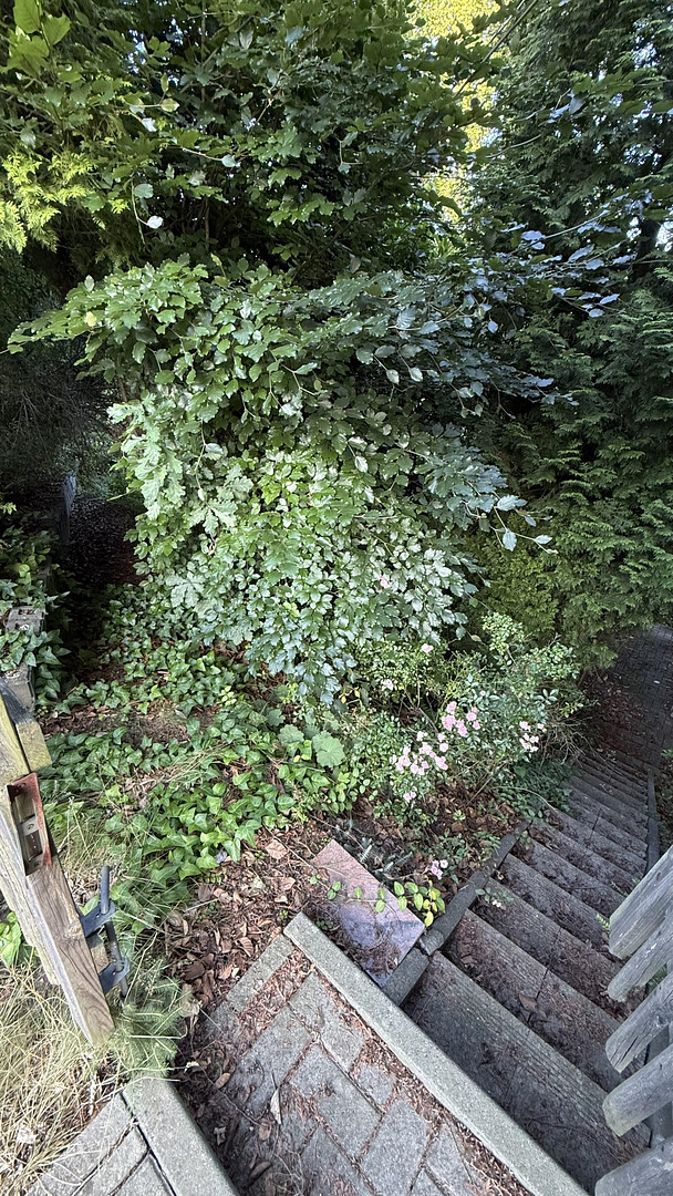 Charmantes Reihenhaus mit Garten in 08280 Aue + Garagen – Aue – Vorschaubild 16