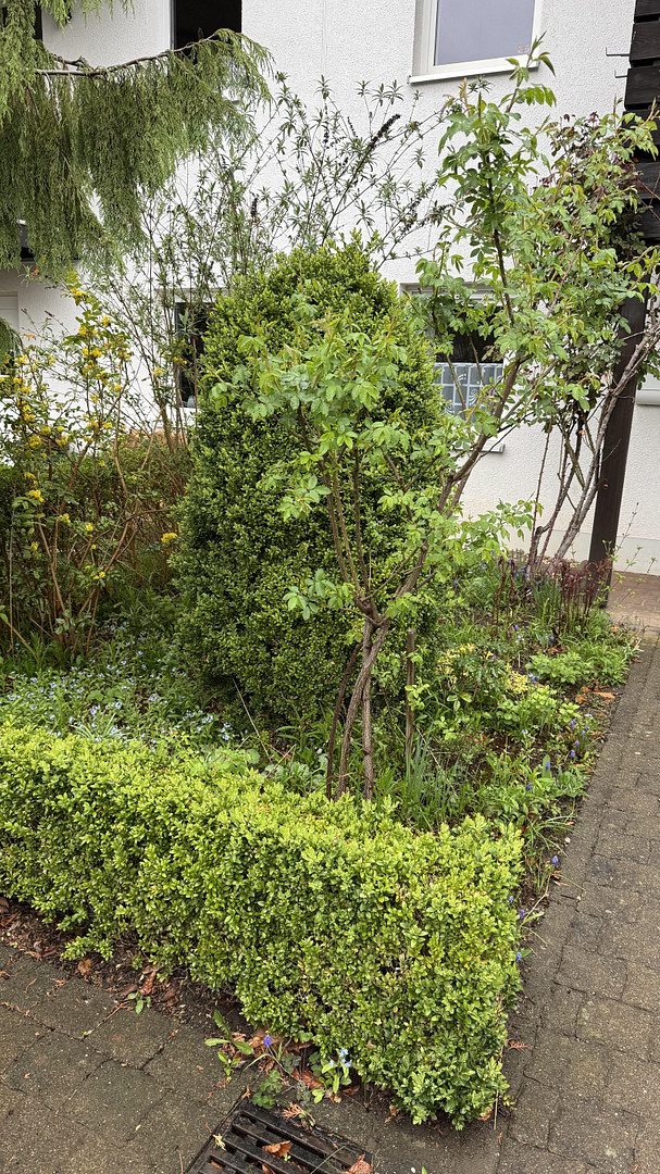 Charmantes Reihenhaus mit Garten in 08280 Aue + Garagen – Aue – Vorschaubild 2