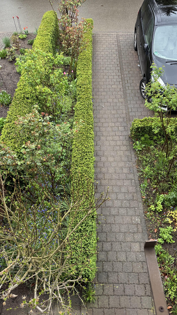 Charmantes Reihenhaus mit Garten in 08280 Aue + Garagen – Aue – Vorschaubild 12
