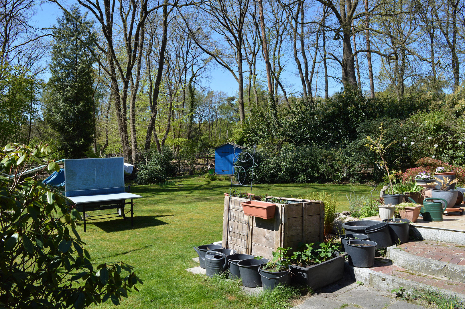 1-2 Familien-Haus m. Keller, Traumgarten, 2023-Heizung, TOP-Wohnlage: Garlstedter Wald- RESERVIERT – Osterholz-Scharmbeck(Auf dem Raden) – Vorschaubild 16