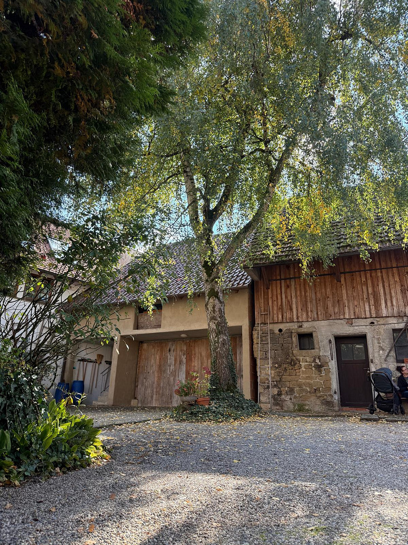 Historisches Fachwerkhaus mit Einliegerwohnung & Scheune im Herzen von Oberderdingen – Obere Gasse 8, 75038 Oberderdingen – Vorschaubild 8