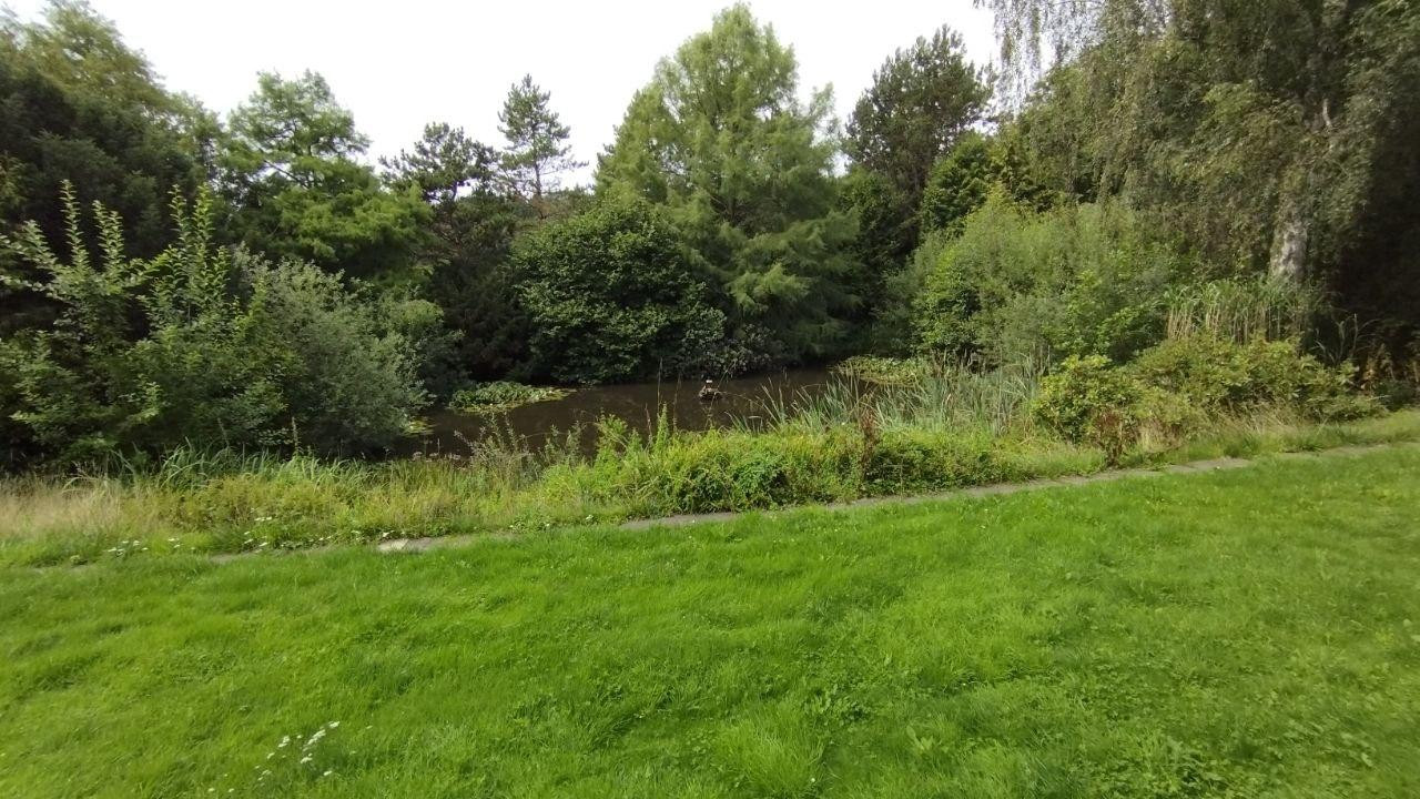 Mehrgenerationenhaus, ruhige Lage, idyllisch im Grünen gelegen – Holtsee – Vorschaubild 28