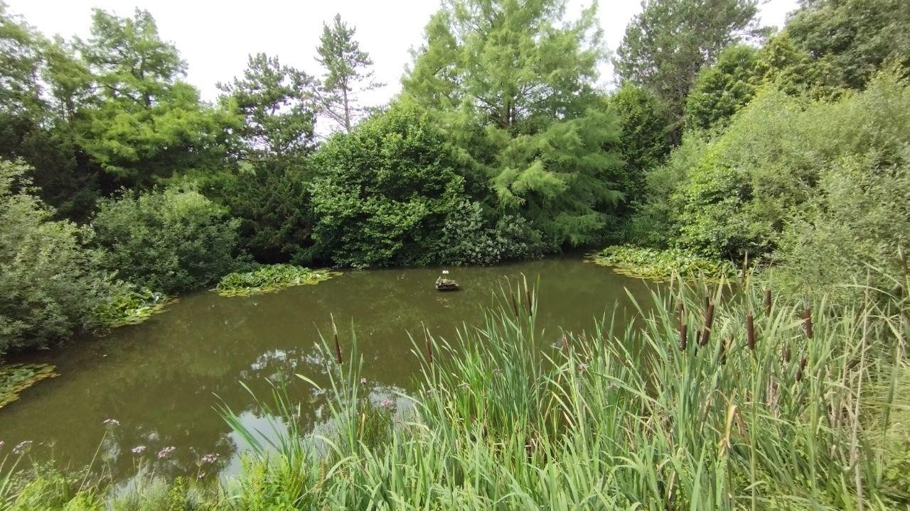 Mehrgenerationenhaus, ruhige Lage, idyllisch im Grünen gelegen – Holtsee – Vorschaubild 27