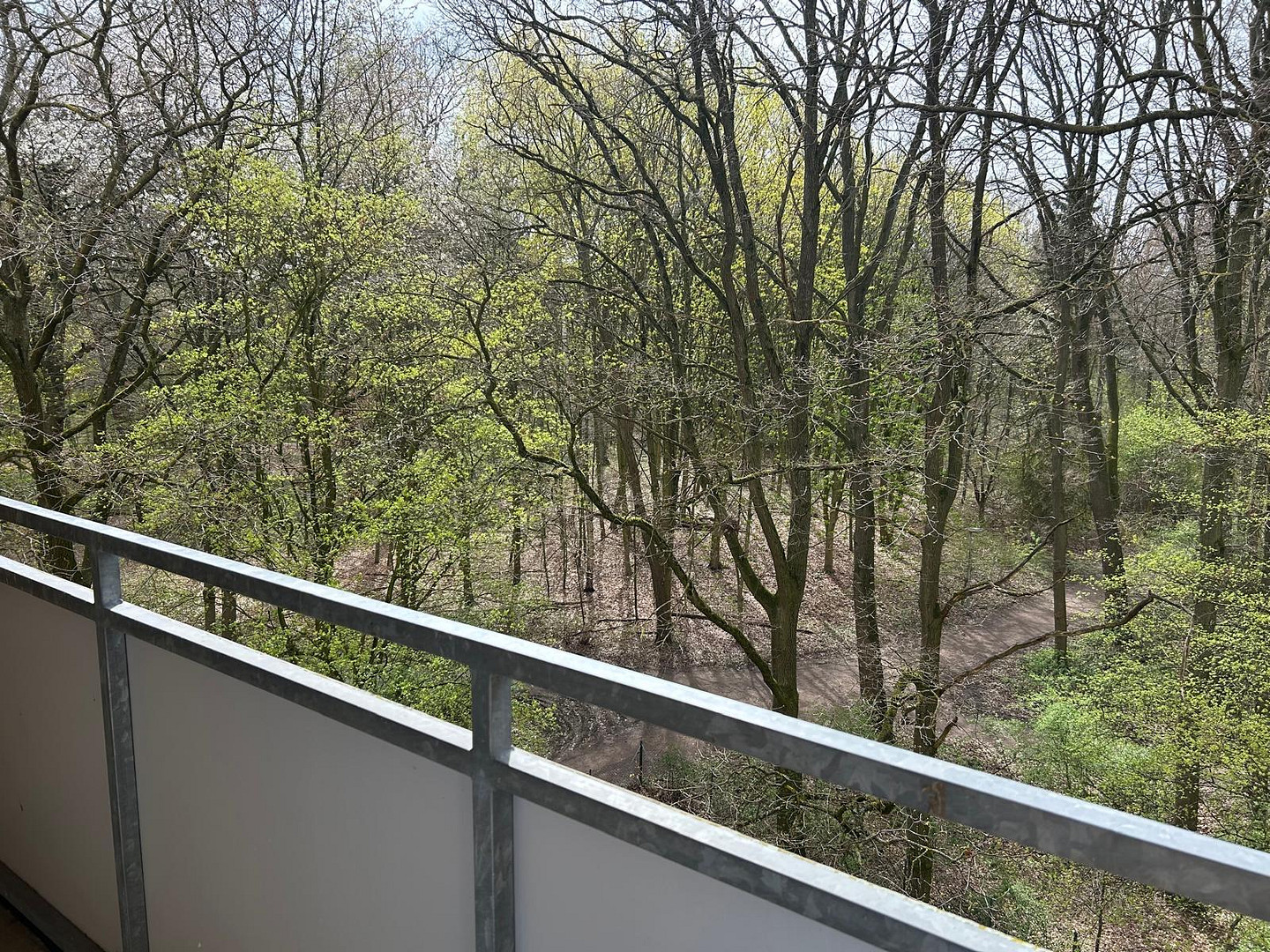 Hannover Ledeburg - Stöcken - Provisionsfrei! Modernisierte 2-Zimmer Eigentumswohnung - sofort frei! – Baldeniusstrasse 35, 30419 Hannover(Ledeburg) – Vorschaubild 13