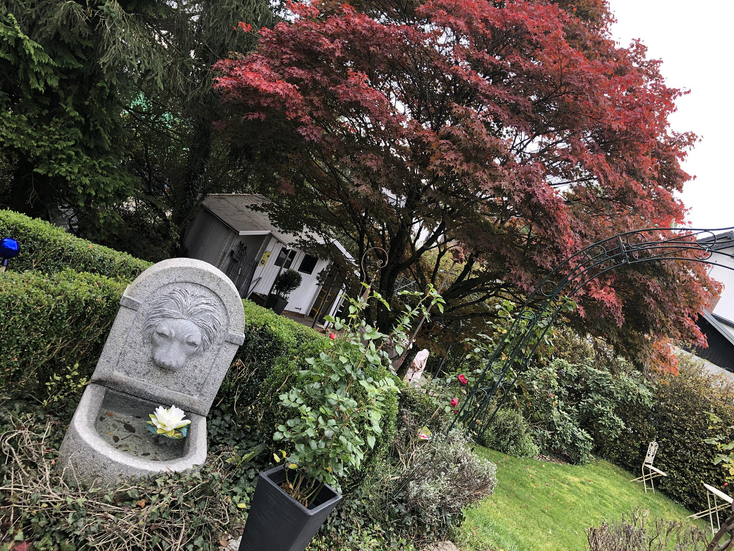Tolle Gelegenheit - Einziehen & wohlfühlen! Großes Einfamilienhaus mit großem Garten und Kamin – Heidenrod(Mappershain) – Vorschaubild 31