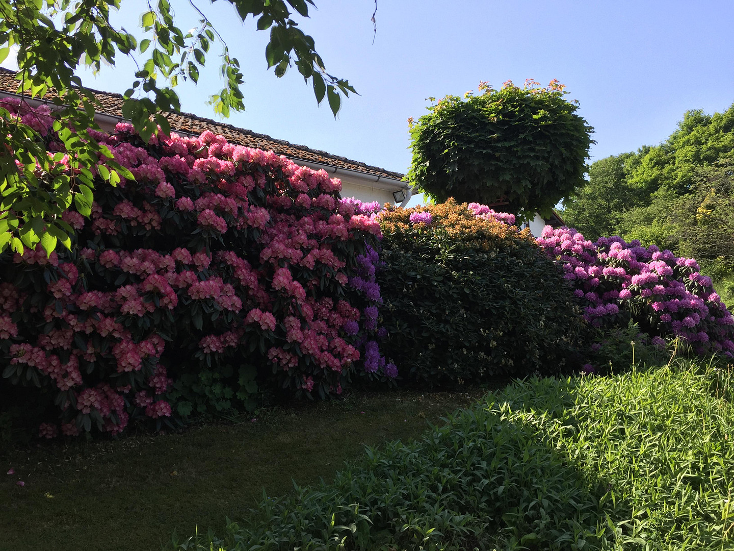 Tolle Gelegenheit - Einziehen & wohlfühlen! Großes Einfamilienhaus mit großem Garten und Kamin – Heidenrod(Mappershain) – Vorschaubild 3
