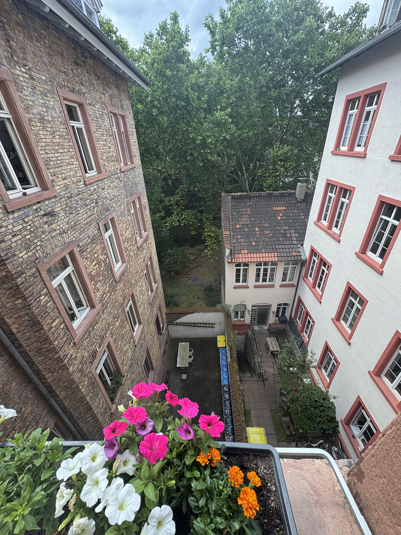 Schöne modernisierte Altbauwohnung mit Dielen und EBK, nähe Theater – U5/19, 68161 Mannehim(Mannheim) – Vorschaubild 3