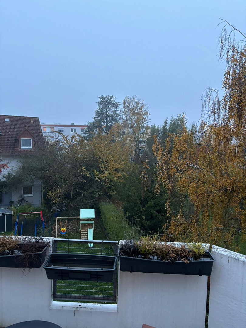 Einfamilienhaus mit Einliegerwohnung in Oftersheim – Oftersheim – Vorschaubild 4