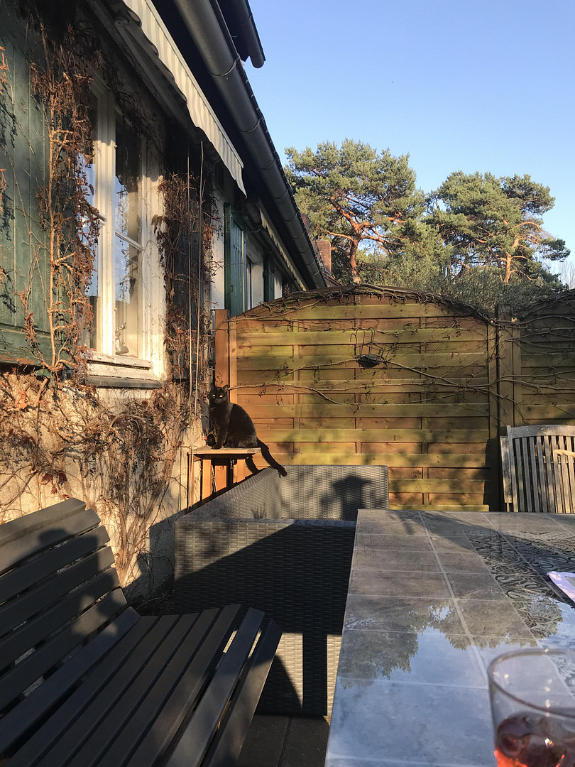 *Direkt am Wald und ohne Provision* Gemütliche Doppelhaushälfte in der Waldsiedlung Krumme Lanke – Berlin(Zehlendorf) – Vorschaubild 21