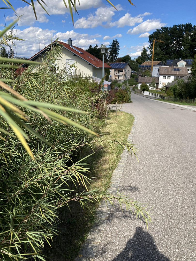 freistehendes Einfamilienhaus in Hebertsfelden – Hebertsfelden – Vorschaubild 12