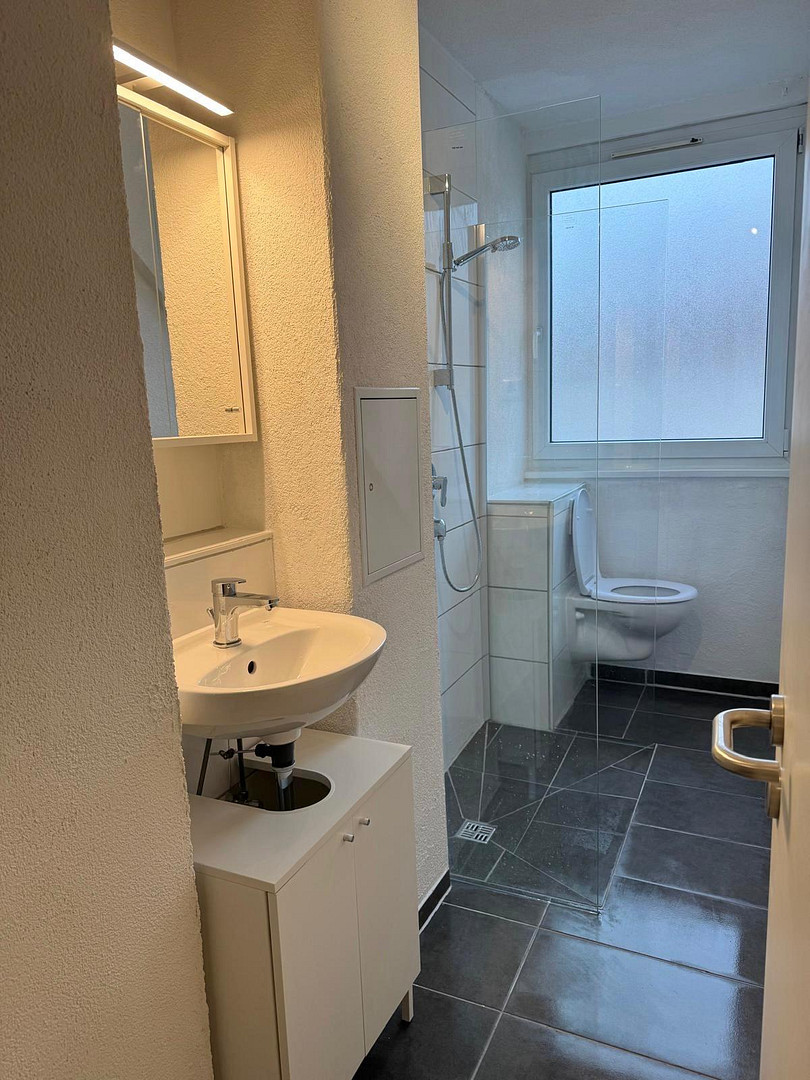 Stilvolle und möblierte 2-Zimmer-Wohnung in Stuttgart-West (flexible Befristung möglich) – Stuttgart(West) – Vorschaubild 5