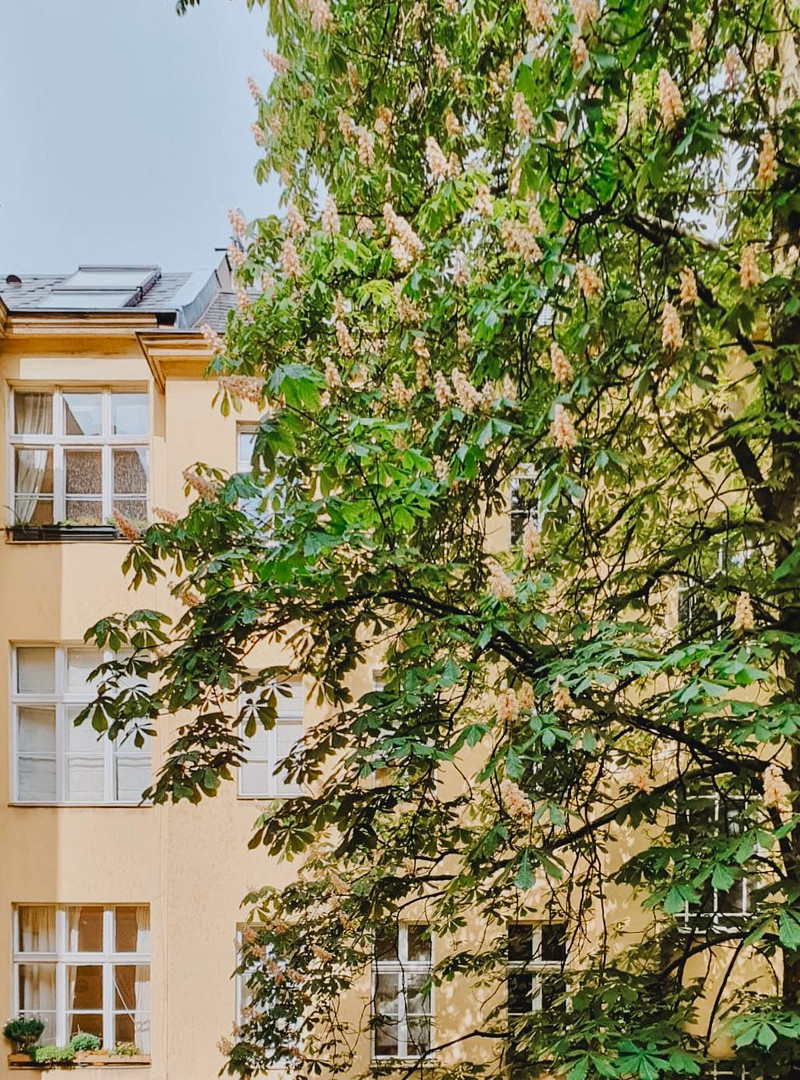 Charmante 2-Zimmer-Altbauwohnung im besten Schöneberger Kiez! – Erdmannstraße, 10827 Berlin(Schöneberg) – Vorschaubild 10