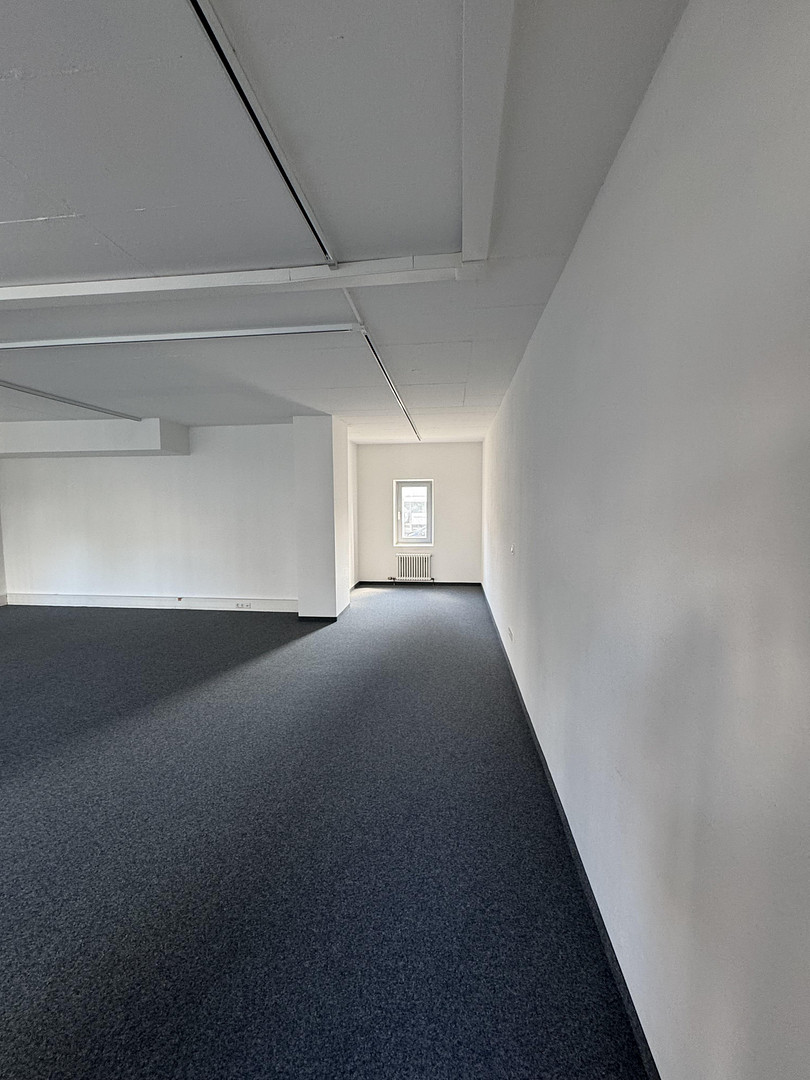 Atelier Wohnung / Gewerbe EG & 3 Wohnungen 2.OG nähe HBF mit Keller und TG STP – Münchener Straße 113, 85051 Ingolstadt – Vorschaubild 12