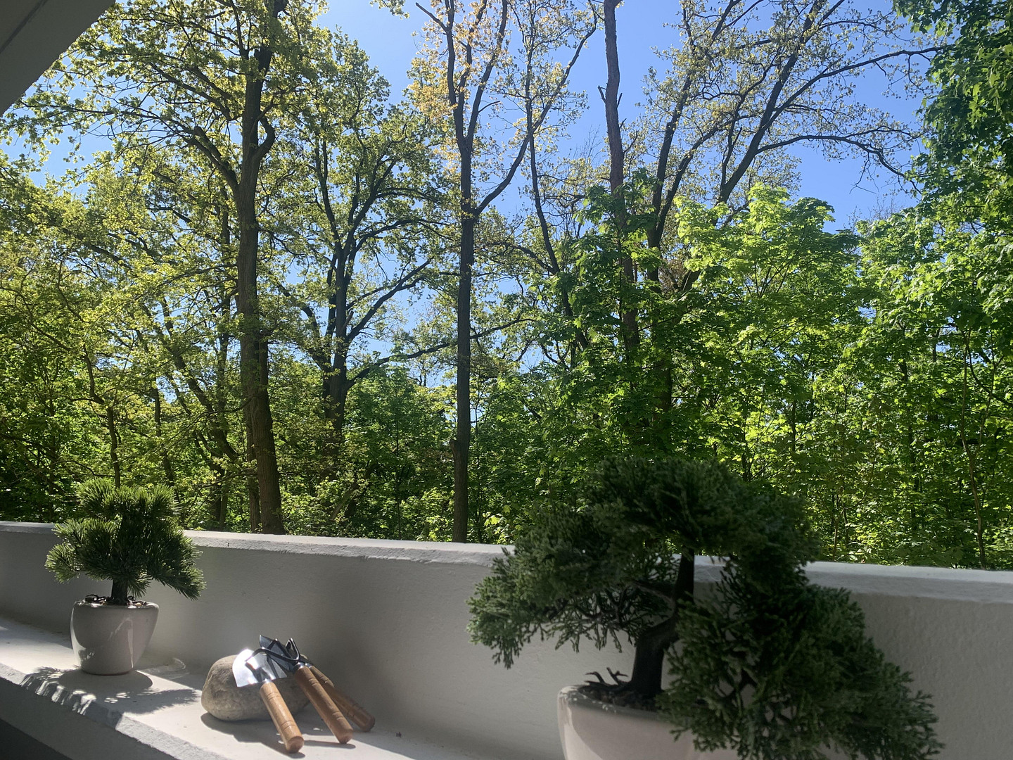 Vollmöbliertes Design-Apartment in Berlin-Westend: Kernsaniert, Provisionsfrei & Sofort bezugsfrei! – Berlin(Westend) – Vorschaubild 18