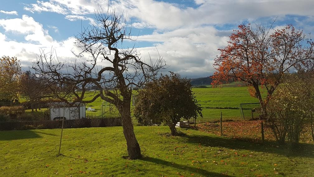 Gartenblick von Terrasse