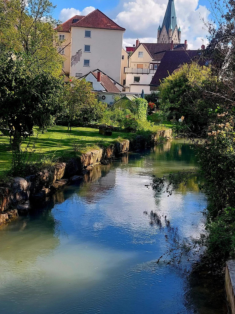 Waldrand Bungalow zu den Fischteichen incl. Strom – 33102 Paderborn – Vorschaubild 24