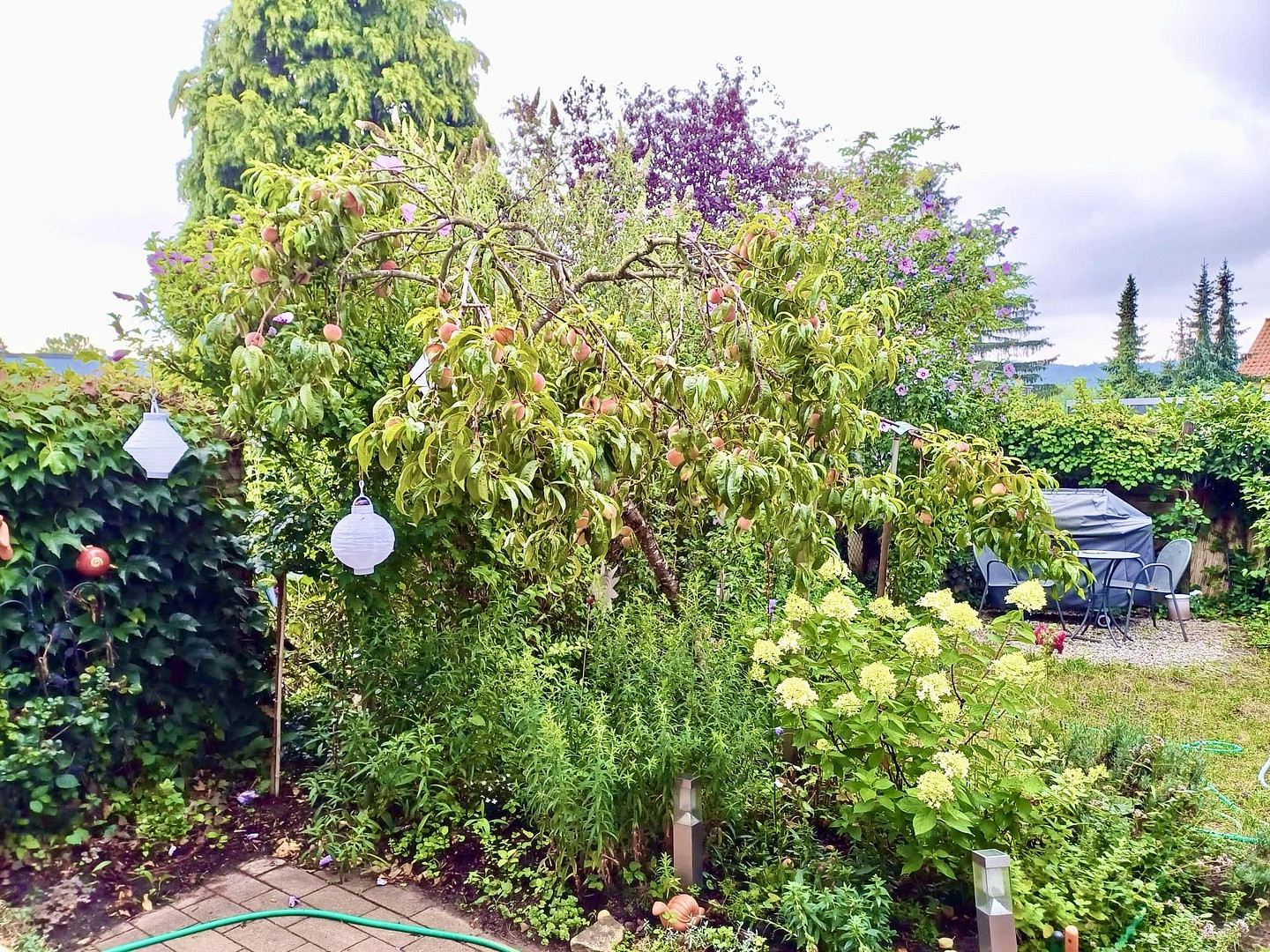 Direkt v. Eigentümer: Gemütliches Reihenendhaus mit Garten in bester Waldrandlage von Trautheim – Mühltal(Trautheim) – Vorschaubild 7