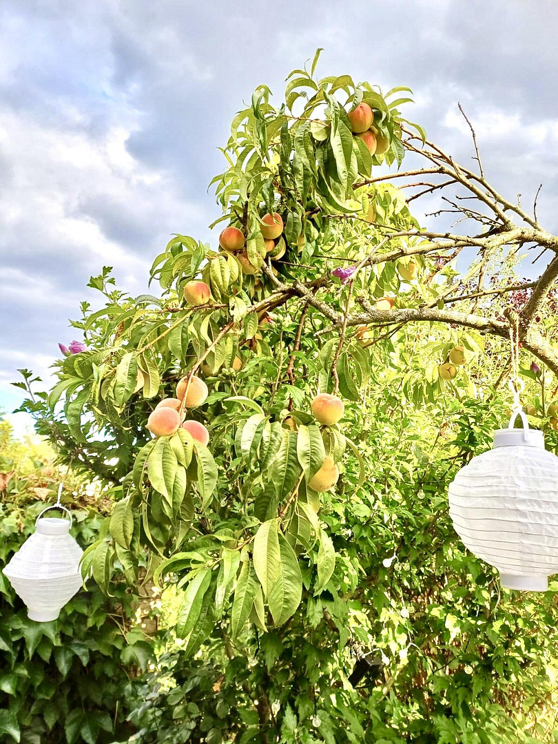 Direkt v. Eigentümer: Gemütliches Reihenendhaus mit Garten in bester Waldrandlage von Trautheim – Mühltal(Trautheim) – Vorschaubild 8