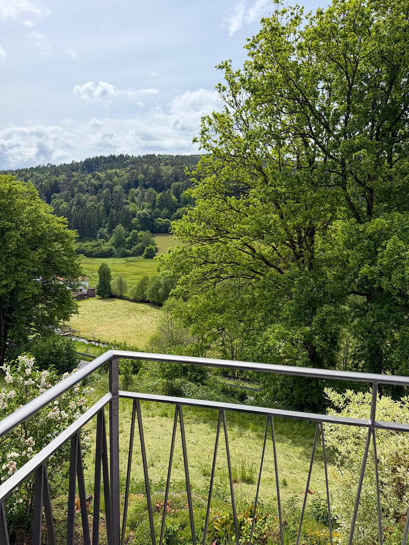 Erstbezug: Modernes Einfamilienhaus in idyllischer Lage – Oberzent(Ober-Hainbrunn) – Vorschaubild 8