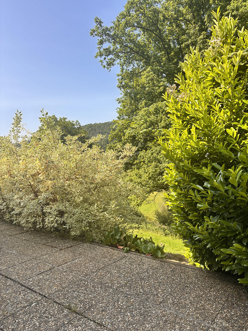 Erstbezug: Modernes Einfamilienhaus in idyllischer Lage – Oberzent(Ober-Hainbrunn) – Vorschaubild 21