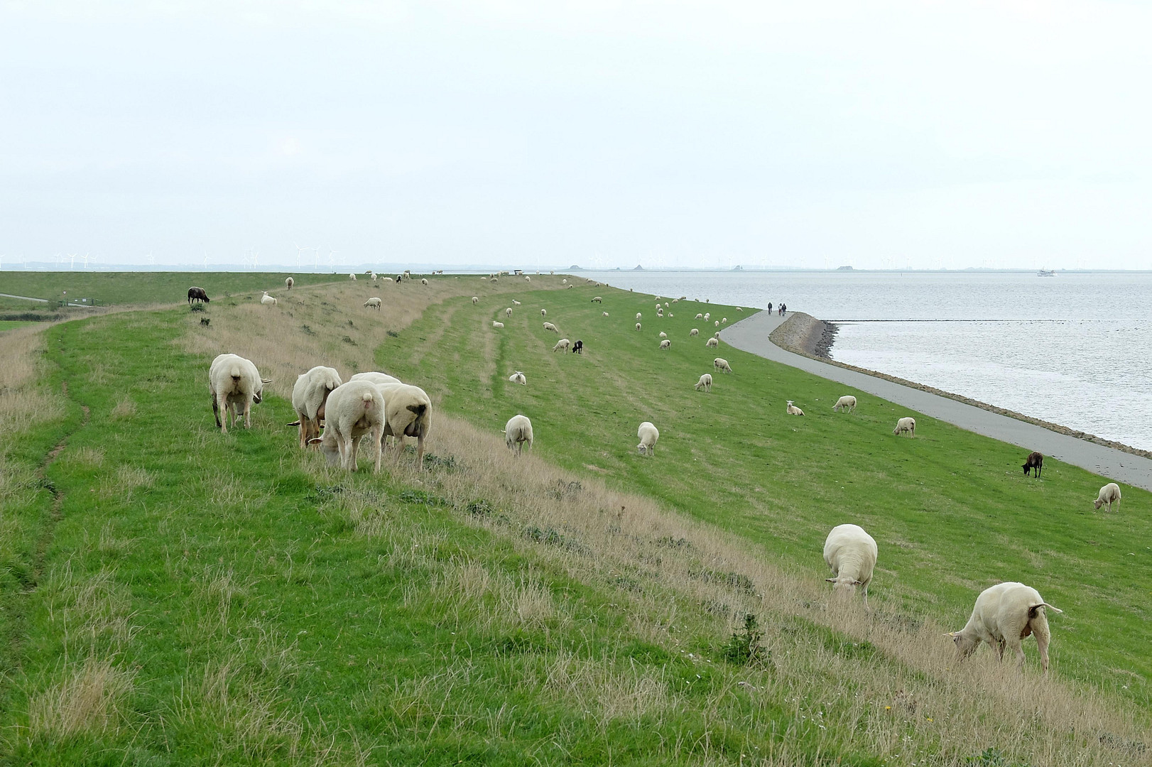 Provisionsfrei: Liebevoll gestaltetes Wohnhaus am Alten Hafen, direkt hinterm Deich auf Pellworm VHB – Pellworm(Tammensiel) – Vorschaubild 19