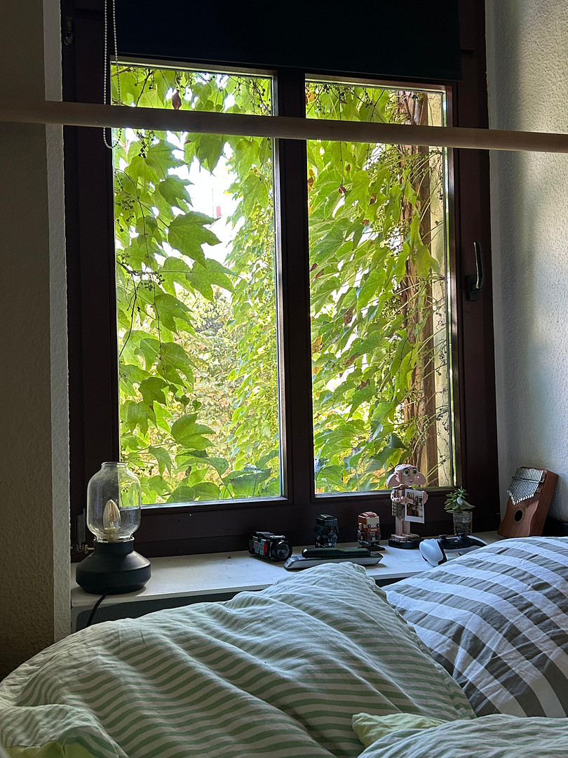 Deine neue Wohnung 2 ZKB + Balkon im 1. OG – Hedwigstrasse 2, 4315 Leipzig(Neustadt-Neuschönefeld) – Vorschaubild 9