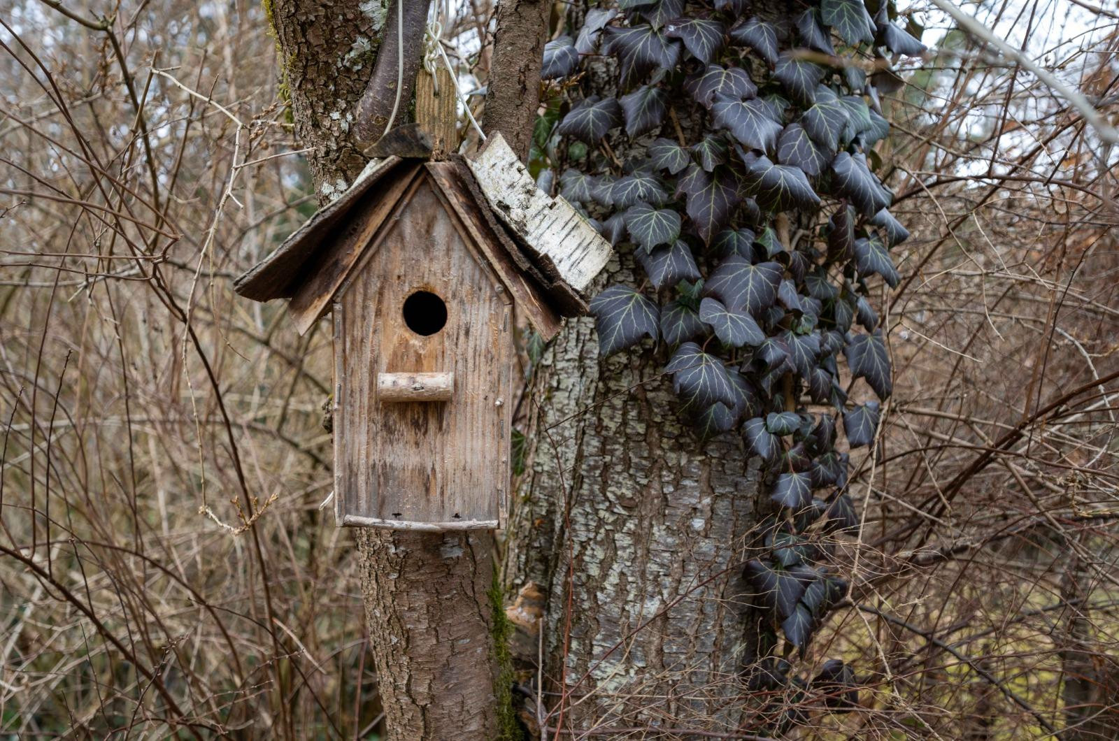 Doppelhaushälfte Vaterstetten mit großem Garten – Anton-Bruckner-Str. 44, 85591 Vaterstetten – Vorschaubild 7