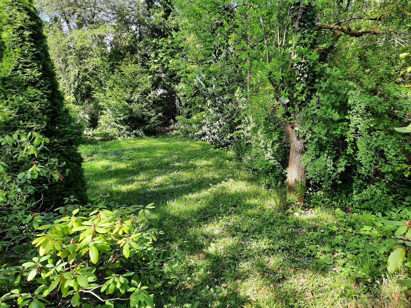Doppelhaushälfte Vaterstetten mit großem Garten – Anton-Bruckner-Str. 44, 85591 Vaterstetten – Vorschaubild 2