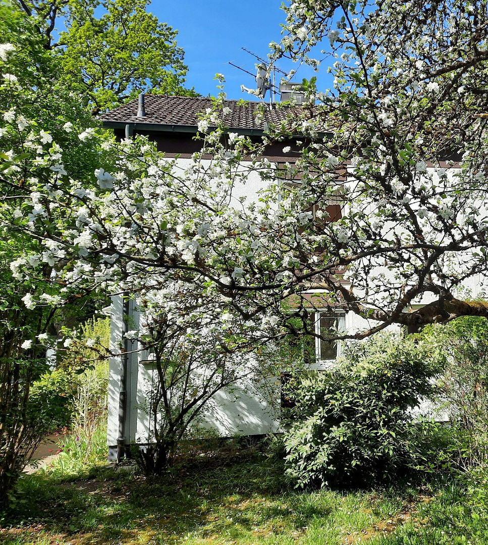 Doppelhaushälfte Vaterstetten mit großem Garten – Anton-Bruckner-Str. 44, 85591 Vaterstetten – Vorschaubild 4