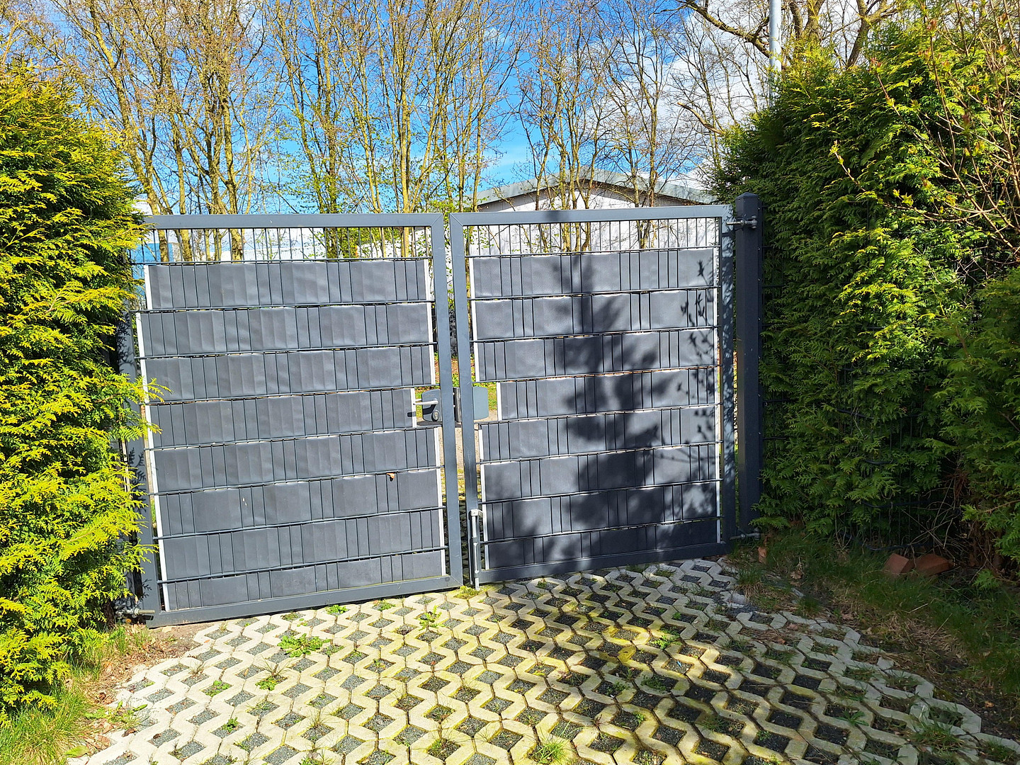 Hier ist die Welt noch in Ordnung  * Wellness * Sauna * Pool * – Dersum – Vorschaubild 8