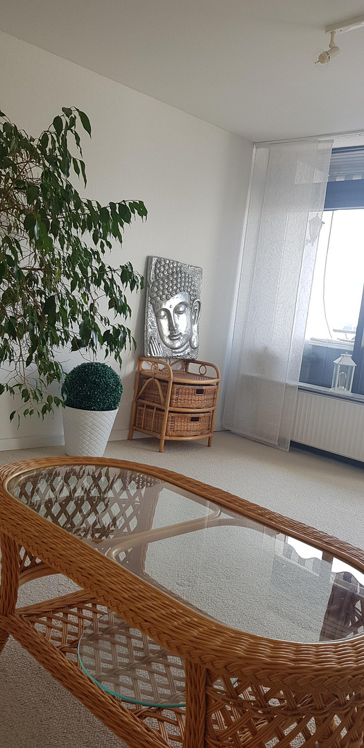 Terrassen Stadthaus (Splitlevel mit versetzten Ebenen) – Quickborn – Vorschaubild 18