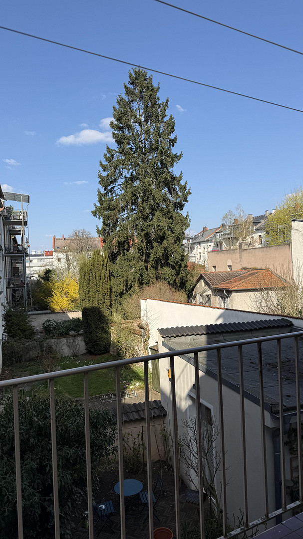 Attraktive 2 Zimmer Wohnung im 1. OG Johannesviertel in Darmstadt – Kahlertstraße 17, 64293 Darmstadt – Vorschaubild 9