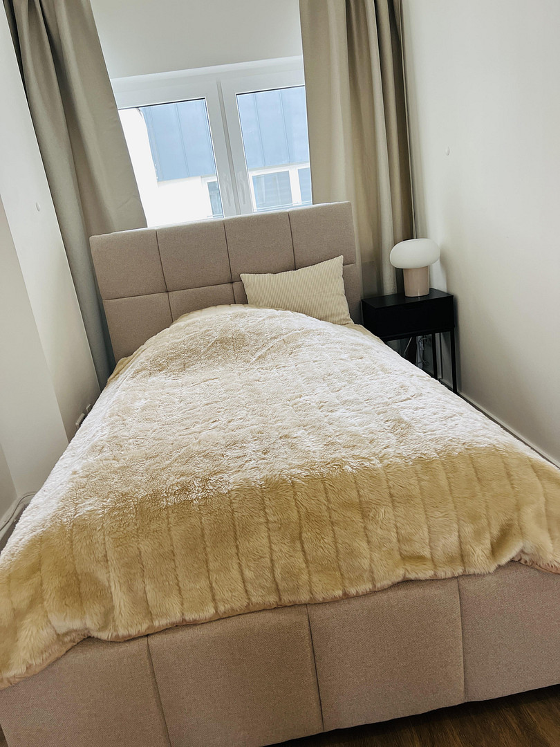 All-Inclusive - Möbliertes Apartment im Zentrum Süd-Ost von Leipzig (nähe Uni / Augustusplatz / HBF) – Foto 3