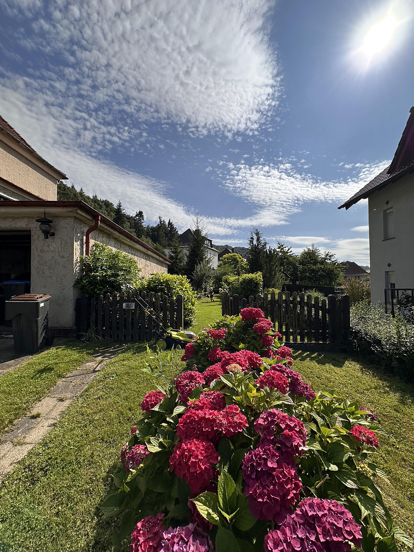 Zweifamilienhaus – Heringen – Vorschaubild 3