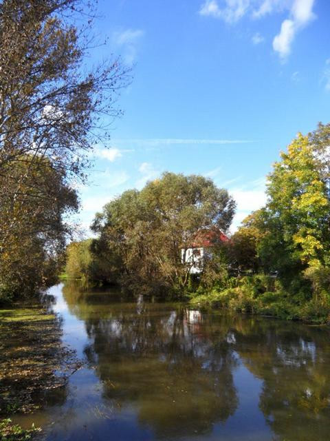 Top Wassergrundstück, 8 Exklusive Wohnungen auch Einzelverkauf, abgeschlossene Anlage – Stahmelnerstr. 107, 4159 Leipzig(Wahren) – Vorschaubild 3
