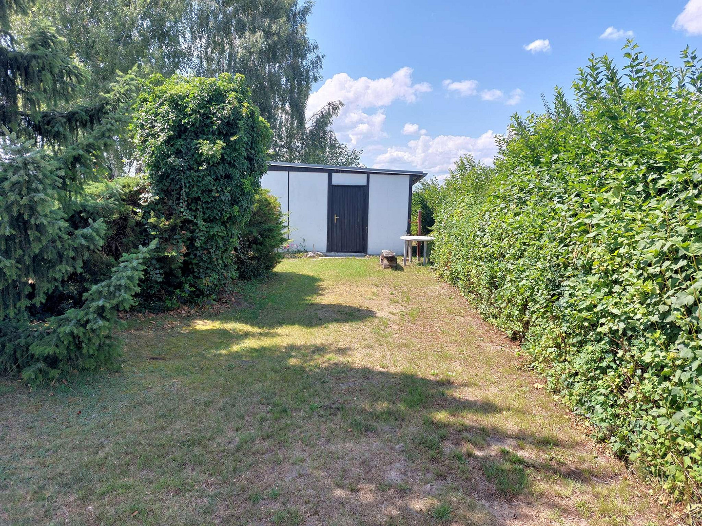 Wochenendgrundstück zu verkaufen Gemeinde Beetzsee – Beetzsee(Brielow) – Vorschaubild 3