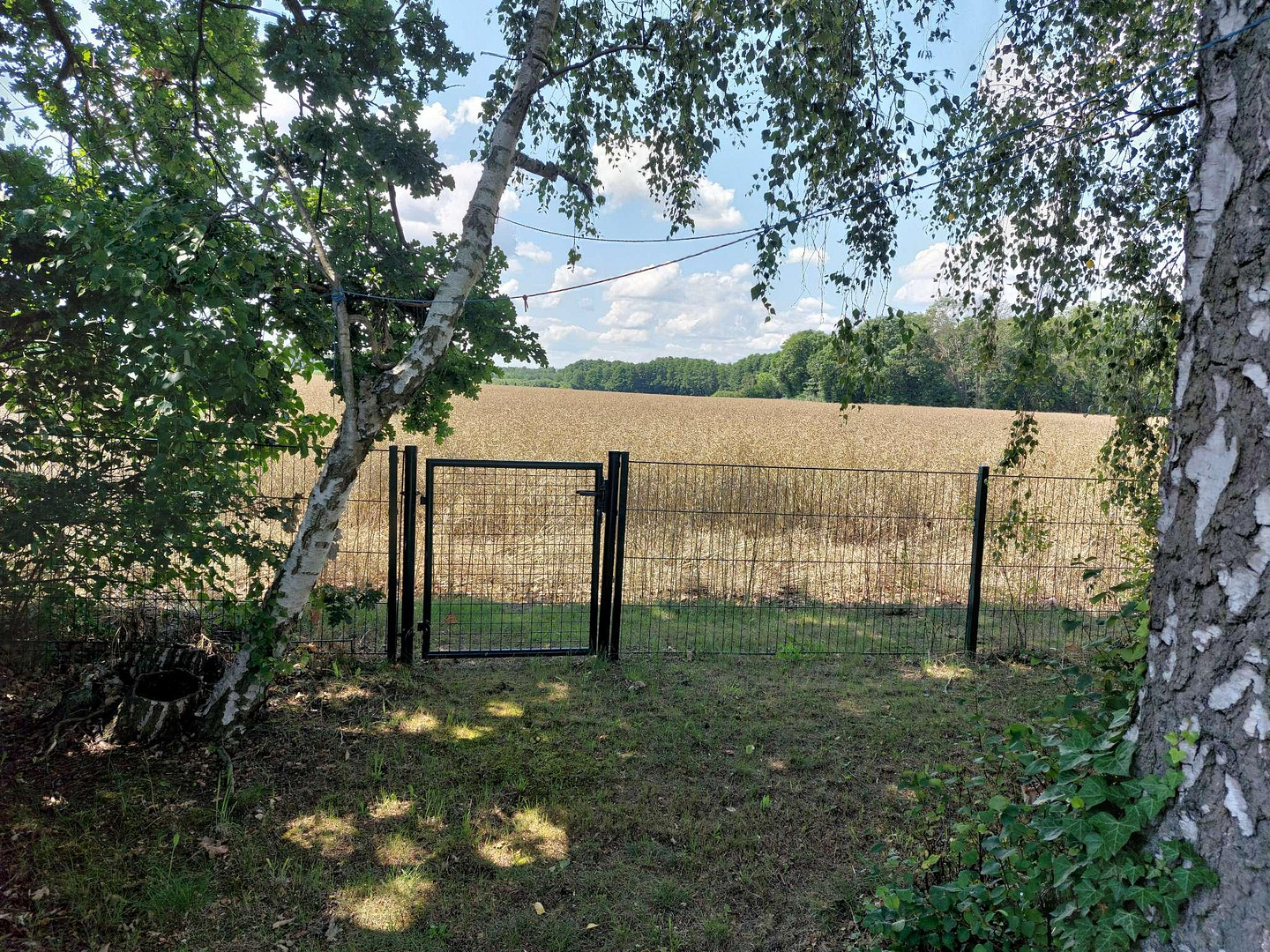 Wochenendgrundstück zu verkaufen Gemeinde Beetzsee – Beetzsee(Brielow) – Vorschaubild 9