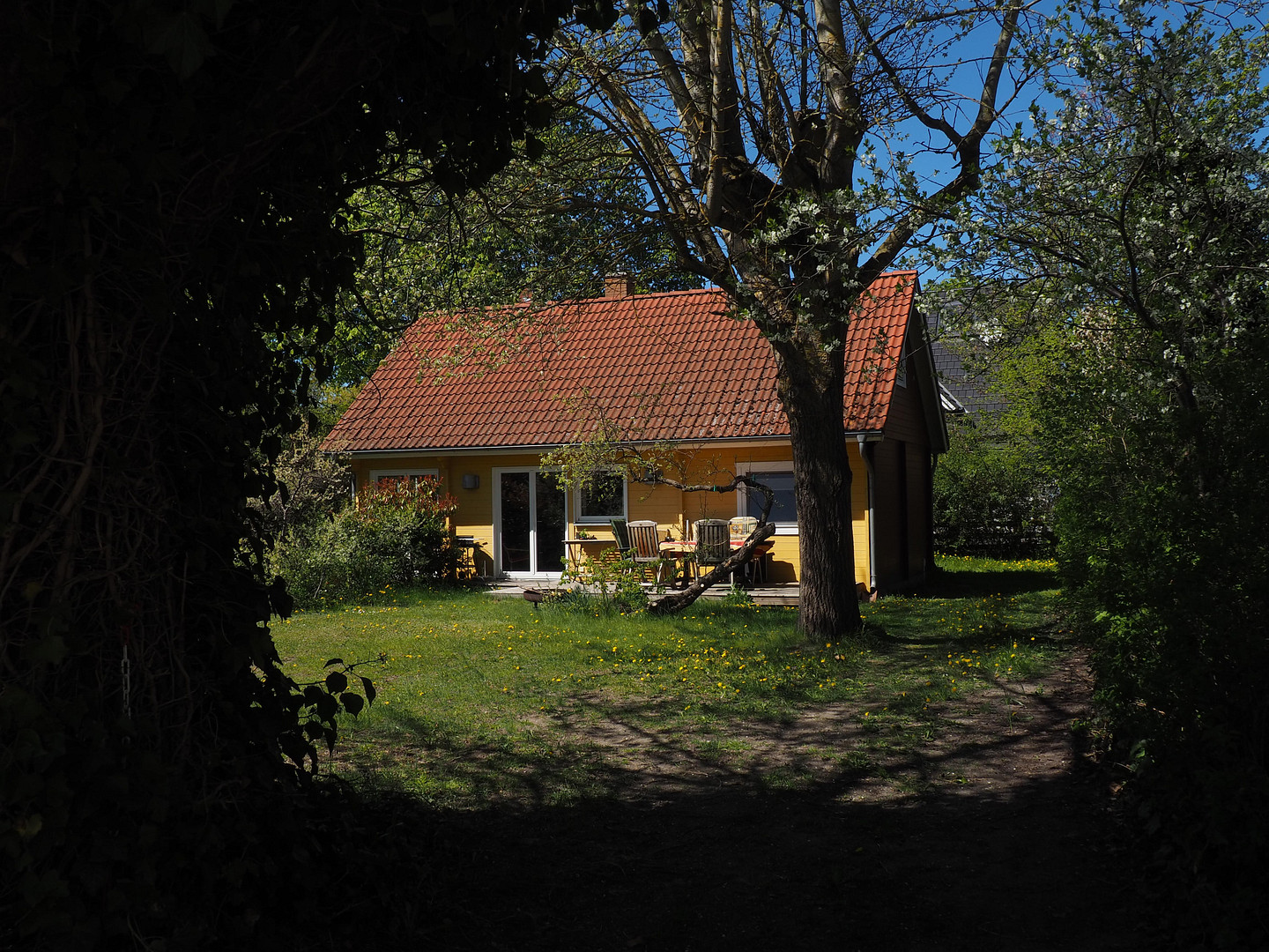Provisionsfrei: Idyllisches Holzhaus im Ostseebad Prerow – Prerow(Ostseebad Prerow) – Vorschaubild 16