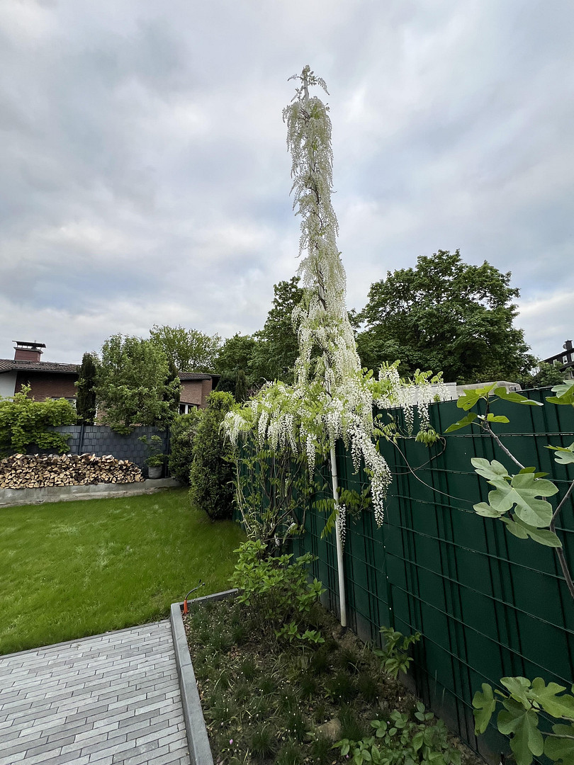 freistehendes EFH in Aplerbecker-Mark, renovierter Altbau – Dortmund(Aplerbeck) – Vorschaubild 13