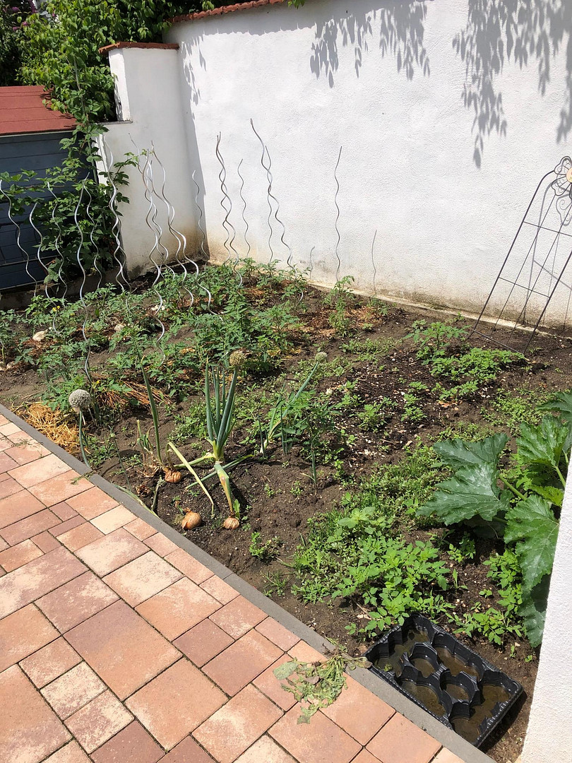 Traumhaftes Zuhause mit Pool, Photovoltaik & viel Potenzial – sofort bezugsfertig! – Maxdorf – Vorschaubild 18