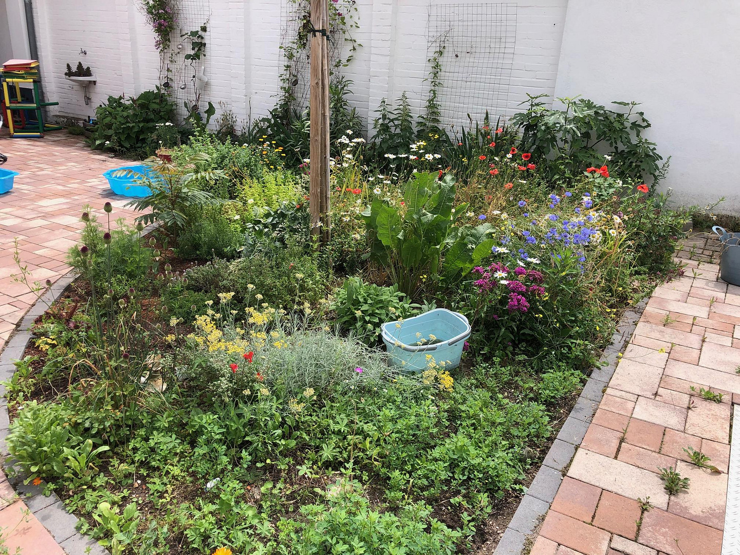 Traumhaftes Zuhause mit Pool, Photovoltaik & viel Potenzial – sofort bezugsfertig! – Maxdorf – Vorschaubild 19