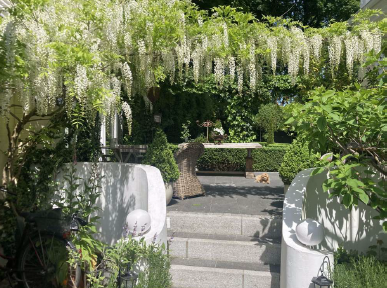 Einzigartiges Wohnensemble am See: Jugendstilvilla, 3‑Zimmer‑Einliegerwohnung & Wintergarten-Oase – Glückstadt – Vorschaubild 9