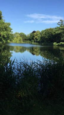 Einzigartiges Wohnensemble am See: Jugendstilvilla, 3‑Zimmer‑Einliegerwohnung & Wintergarten-Oase – Glückstadt – Vorschaubild 3