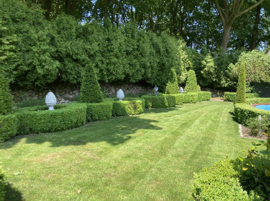 Einzigartiges Wohnensemble am See: Jugendstilvilla, 3‑Zimmer‑Einliegerwohnung & Wintergarten-Oase – Glückstadt – Vorschaubild 4
