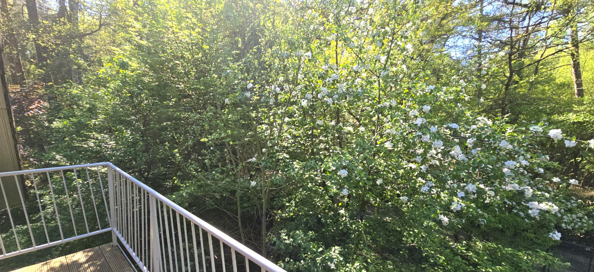 # 3 HÄUSER AUF ÜBER 5.300QM² BAULAND, GÜNSTIGSTER PREIS,OHNE WENN UND ABER # – Wennerstorfer Kirchweg, 21279 Wenzendorf - OT - Dierstorf Heide – Vorschaubild 27