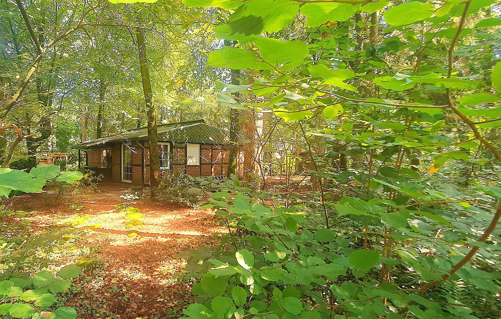 # 3 HÄUSER AUF ÜBER 5.300QM² BAULAND, GÜNSTIGSTER PREIS,OHNE WENN UND ABER # – Wennerstorfer Kirchweg, 21279 Wenzendorf - OT - Dierstorf Heide – Vorschaubild 39